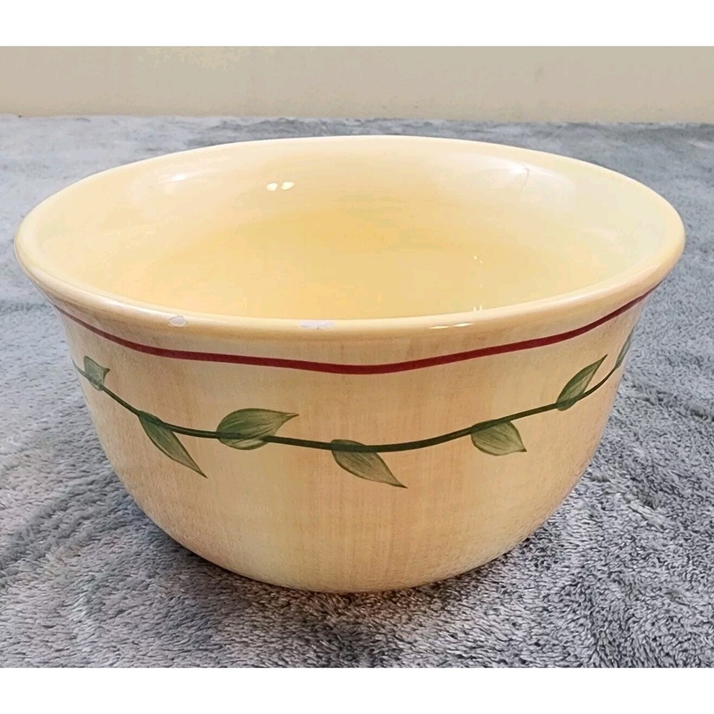 Pfaltzgraff Napoli Stoneware Cereal Soup Bowl Dish Fruit Ice Cream Hand Painted